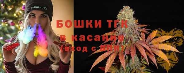мяу мяу мука Бородино